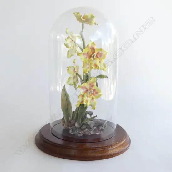 GLASS DOMED CHINA FLOWER DISPLAY H.290mm