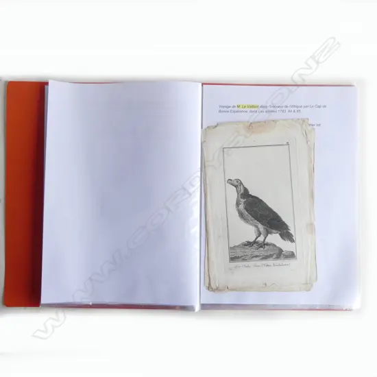 ALBUM OF 18th & 19thC ENGRAVINGS: smaller format. Animals. Religious etc