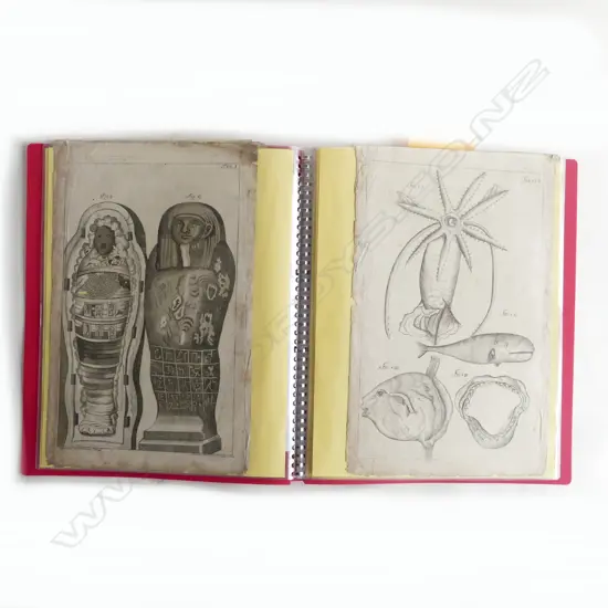 ALBUM mainly 17th & 18thC engravings. Includes sel. 1696 Danish Royal seals + Egyptian + fish + others: Niagara Falls..