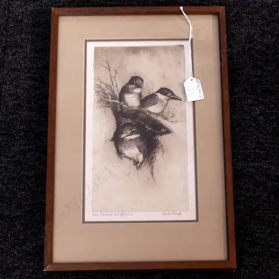 TREVOR LLOYD 'NEW ZEALAND KINGFISHES' ETCHING 270x155mm