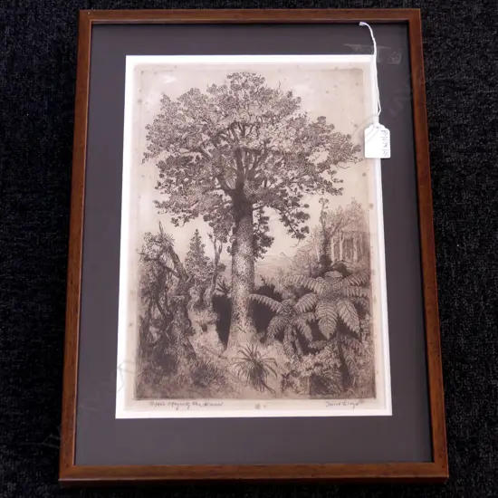 TREVOR LLOYD 'HIS MAJESTY THE KAURI' ETCHING 350x235mm