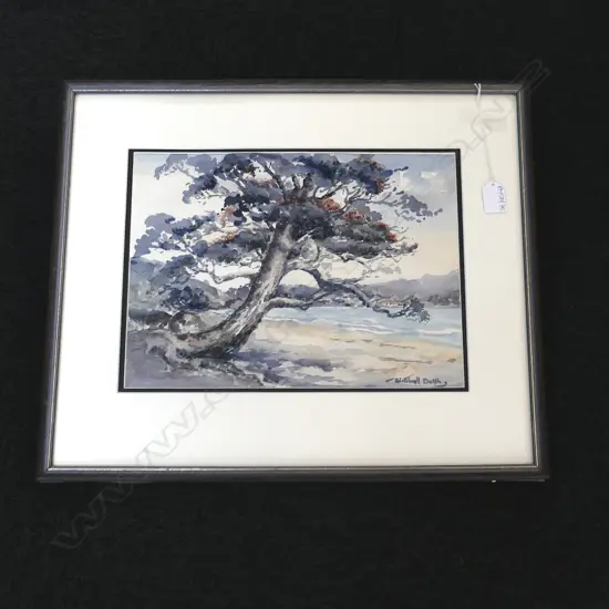 BIRTCHNELL DELPH POHUTUKAWA W/C 265x355mm