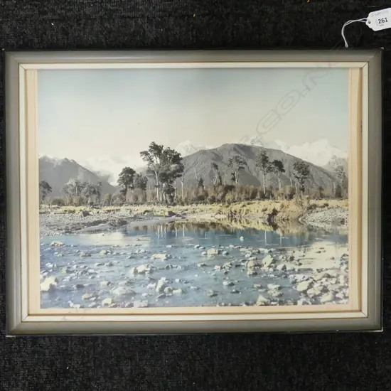 SMALL WHITES AVAITION SOUTH ISLAND PHOTO  380 X 290 MM