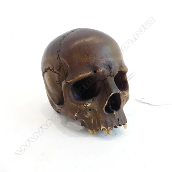 SKULL CARVING,WOOD AND BONE,MEMENTO MORI L 600 MM