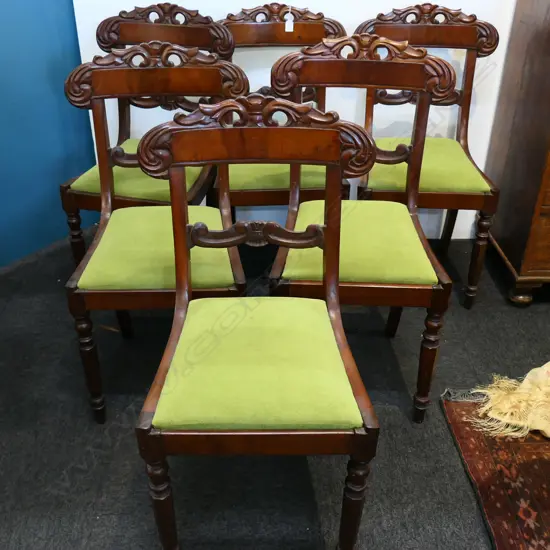 6 WILLIAM IV STYLE MAHOGANY DINING CHAIRS