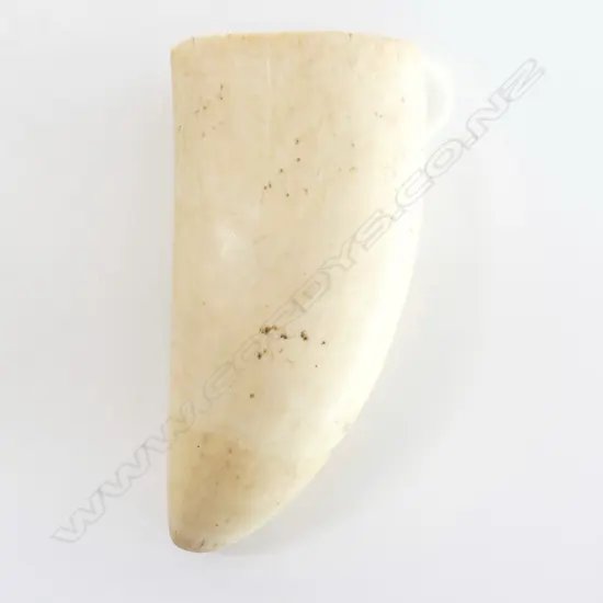 WHALES TOOTH - BASE CUT H.140mm