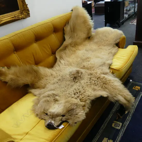 LG BEAR SKIN RUG L.2070mm