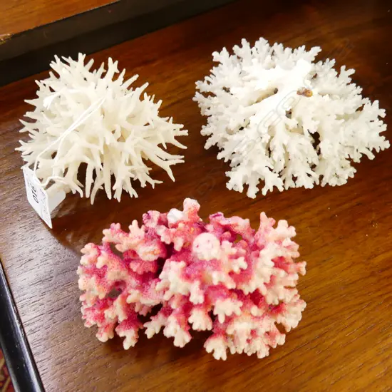 3 PCES CORAL W.110mm