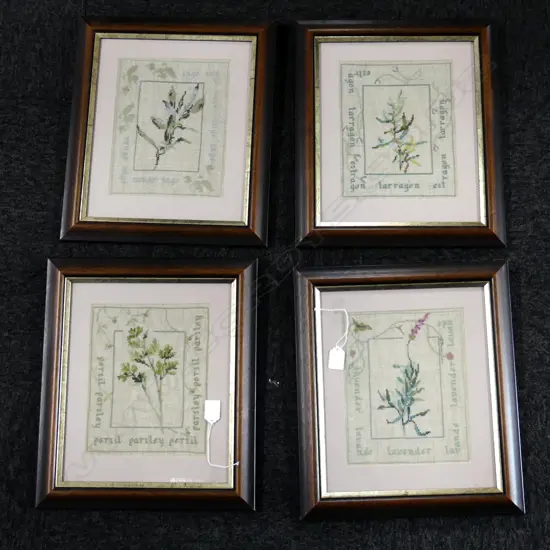 SET OF 4 FRAMED NEEDLEWORK HERBS; TARRAGON, SAGE, LAVENDER, PARSLEY 195x245mm