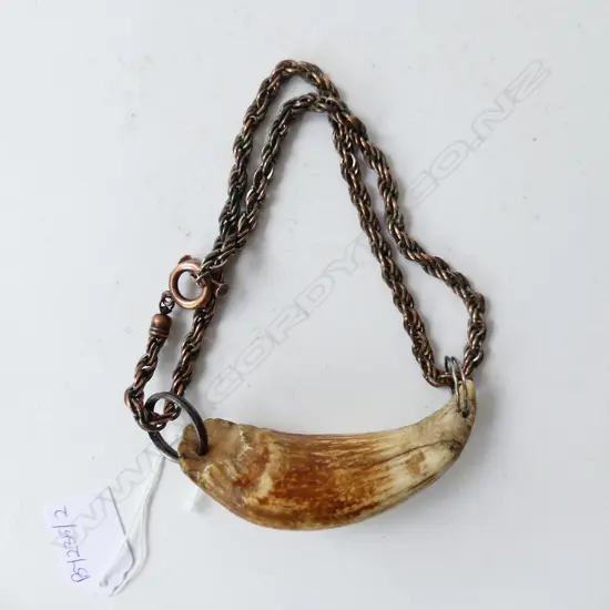 TOOTH L.100mm NECKLACE