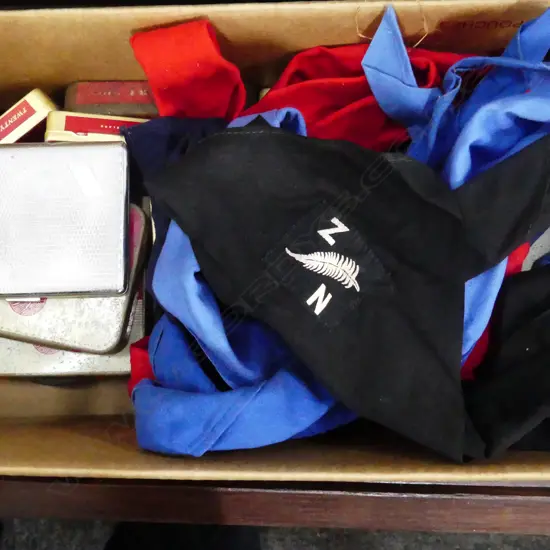 ASST. TINS & SCOUT SCARVES