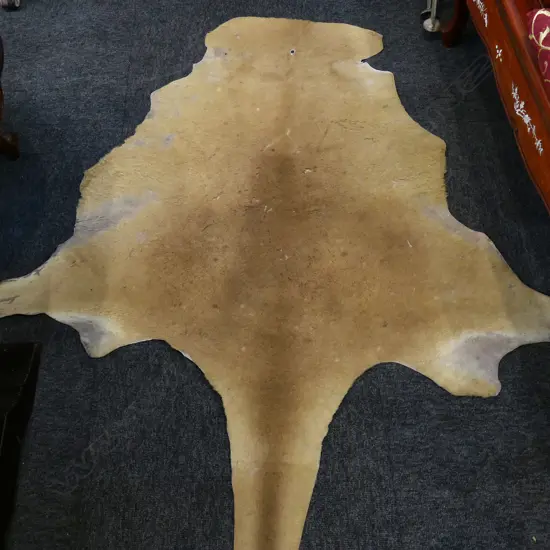 VINTAGE KANGAROO HIDE L.1400mm