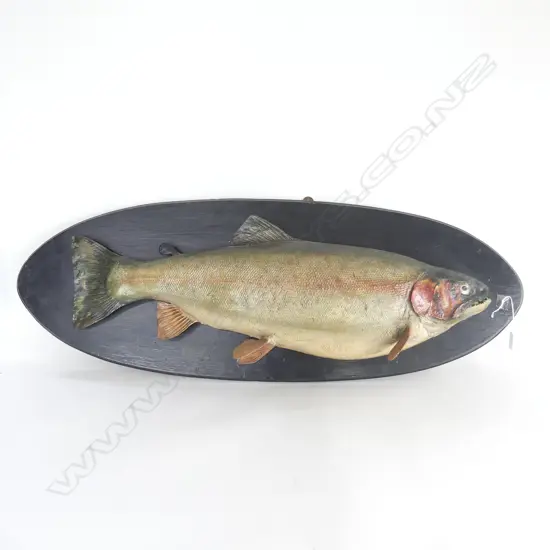 LARGE WALL MOUNTED BROWN TROUT L900MM