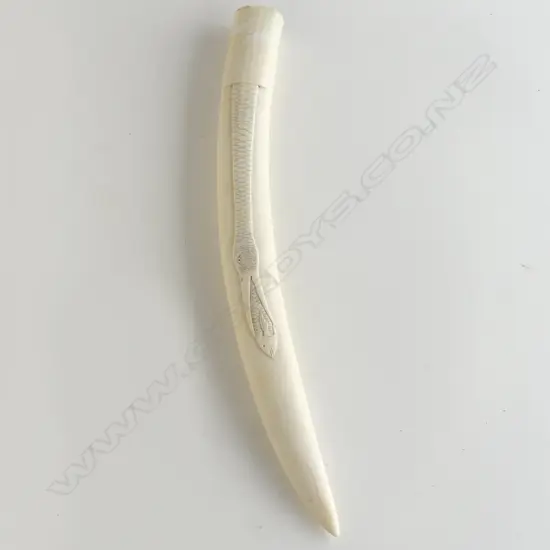 (24653) IVORY ESKIMO CARVED WALRUS TUSK WITH ENGRAVING OF A BIRD ABOUT TO SWALLOW A FISH. 430MM