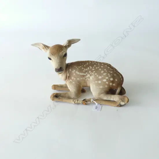 TAXIDERMY OF BABY FAWN L.30CM