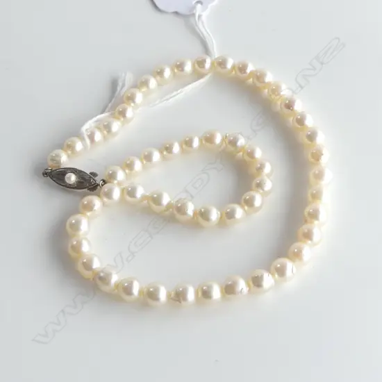 UNIFORM CULTURED PEARL NECKLACE L.340mm silver clasp