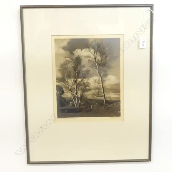 GEORGE CHANCE 'TREES AND CLOUDS, WELLINGTON' PHOTO PRINT 280x225mm