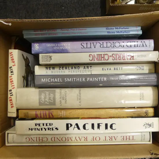 BOX LOT NZ ART REF BOOKS ETC