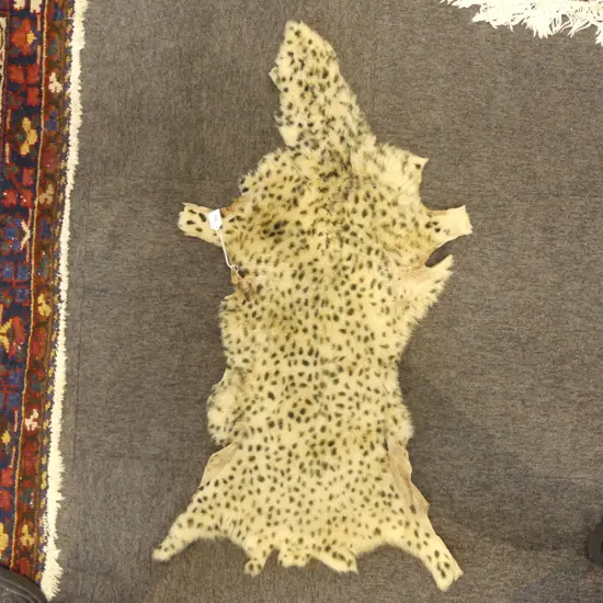 EXOTIC WILD CAT PELT L.980mm