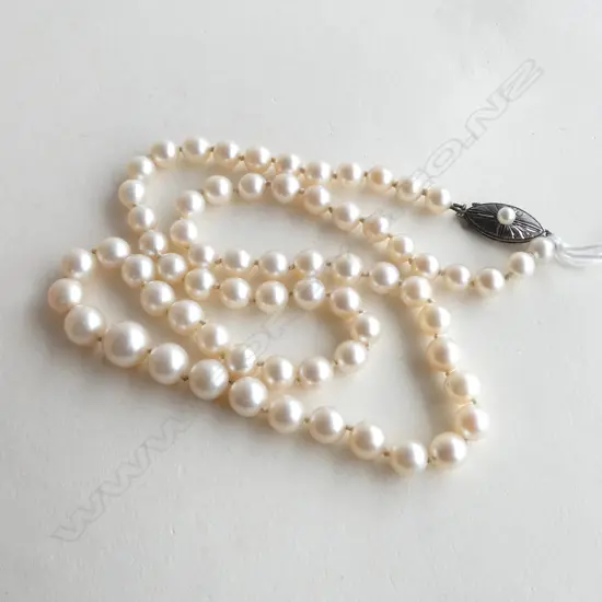 Graduated 67 cultured pearl necklace silver clasp individually knotted