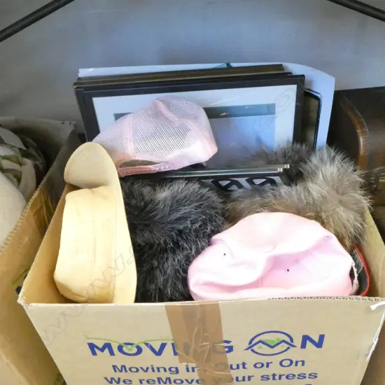 LIGHTS, HATS, PRINTS ETC