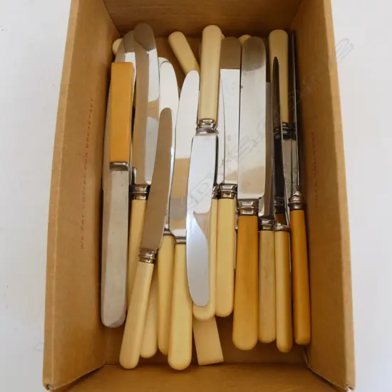 24 ASST. IVORINE 'BONE' HANDLED KNIVES