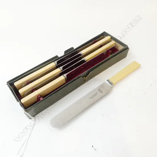 6 IVORINE 'BONE' HANDLED KNIVES, IN ORIG. BOX