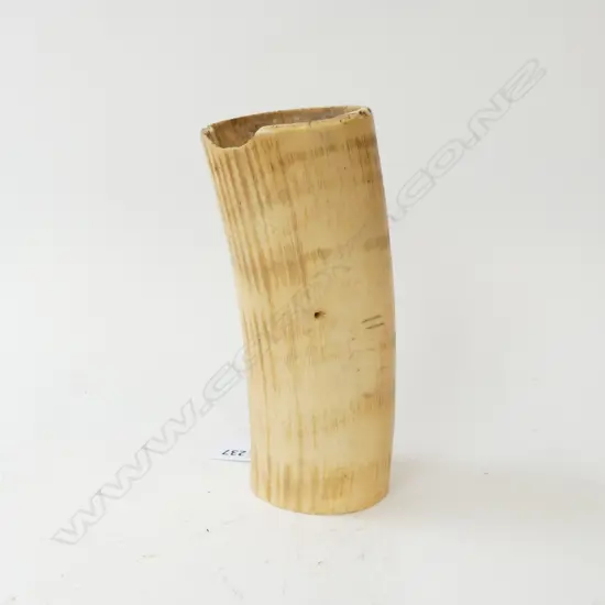 IVORY PARTIAL ELEPHANT TUSK L.170mm