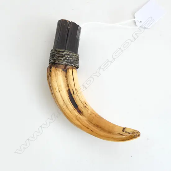 RARE TIGERS TOOTH STOPPER L.120mm