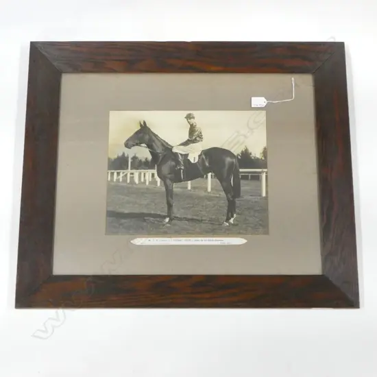 EARLY 20thC PHOTO 'DESERT GOLD' RACEHORSE 290x365mm glass AF