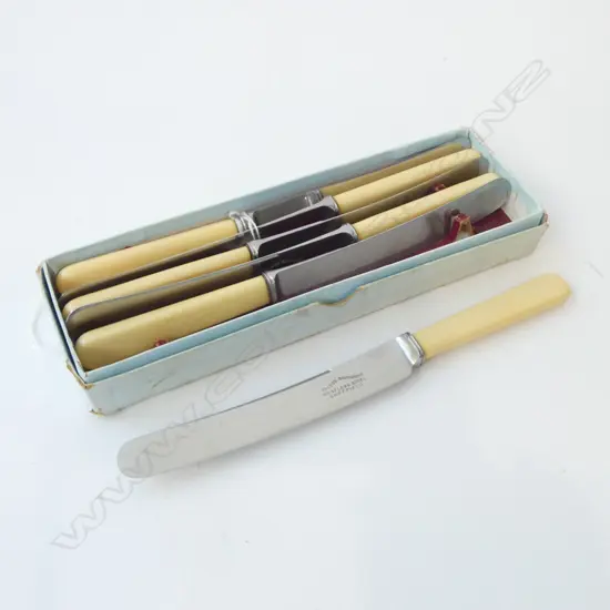 6 IVORINE 'BONE' HANDLED KNIVES, IN ORIG. BOX