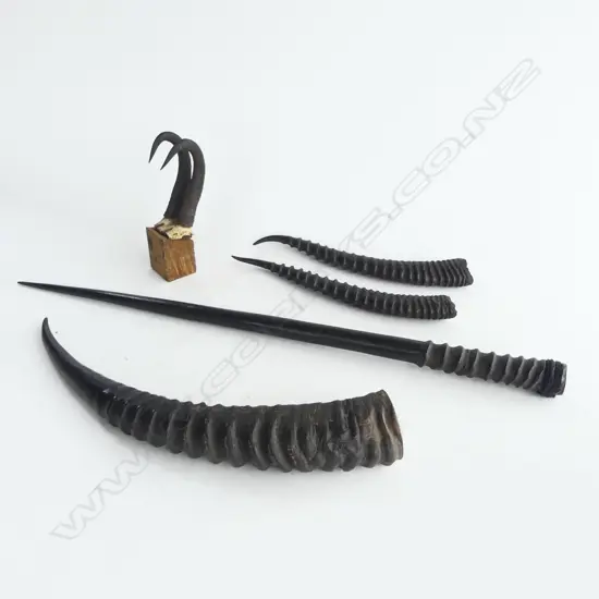 2 PAIRS & 2 INDIVIDUAL ANTELOPE HORNS: The smallest pr mounted to block horn L.120mm. The longest 720mm