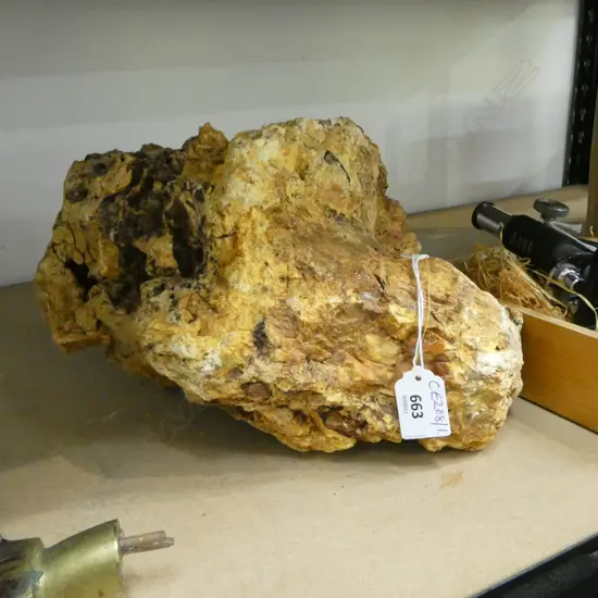 LG KAURI GUM LUMP W.320mm 3.5kg