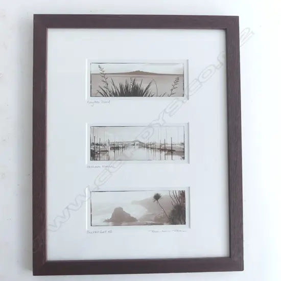  FRAMED BLACK & WHITE PICTURES NZ SCENERY,380 x 310MM