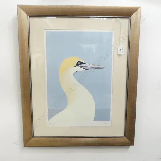 **RTV**  CATHY HANSBY, GANNET PRINT 410x280mm