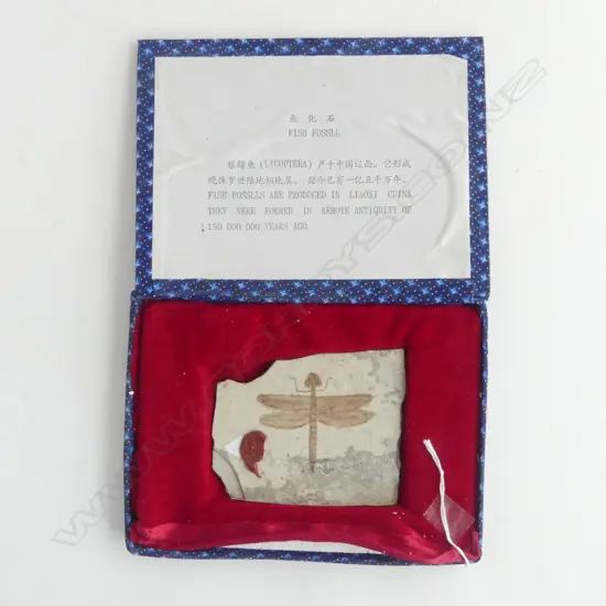 painted dragonfly on old stone reputedly 150,000,000 years old. 95 x 150mm boxed