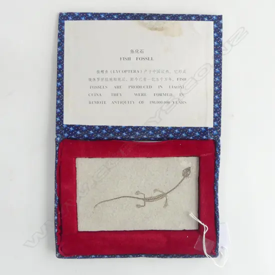 Fish fossil from Liaoxi China reputedly 150,000,000 years old. 95 x 150mm boxed