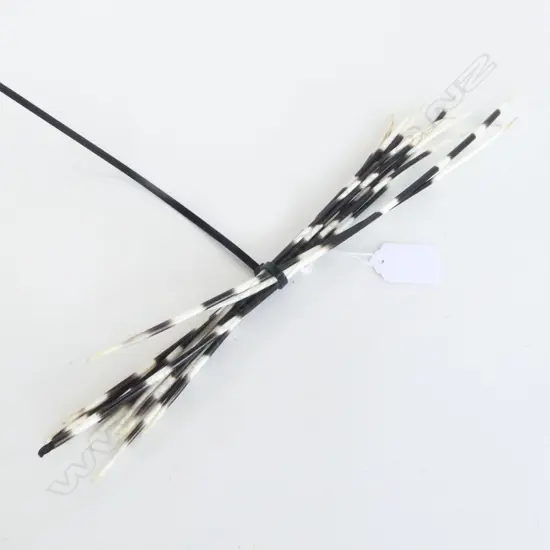 PORCUPINE QUILLS L.320mm