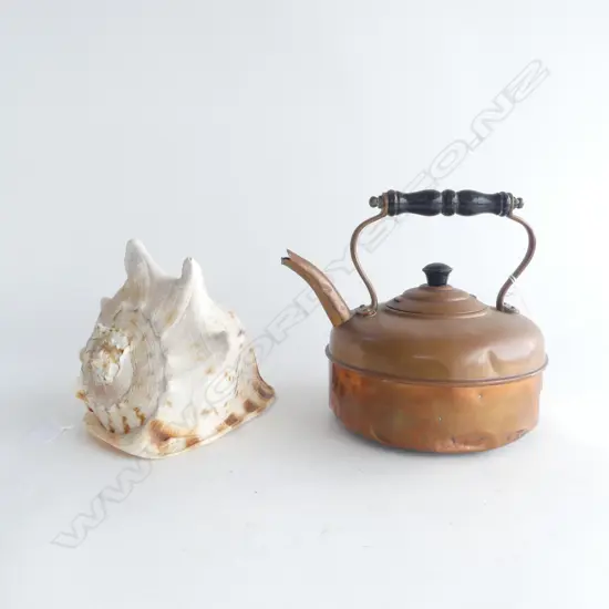 COPPER KETTLE H200MM & CONCH SHELL H160MM