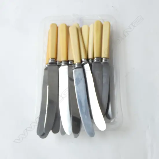 20 VINTAGE ‘BONE’ HANDLE KNIVES SHEFFIELD 10 DINNER + 10 LUNCH