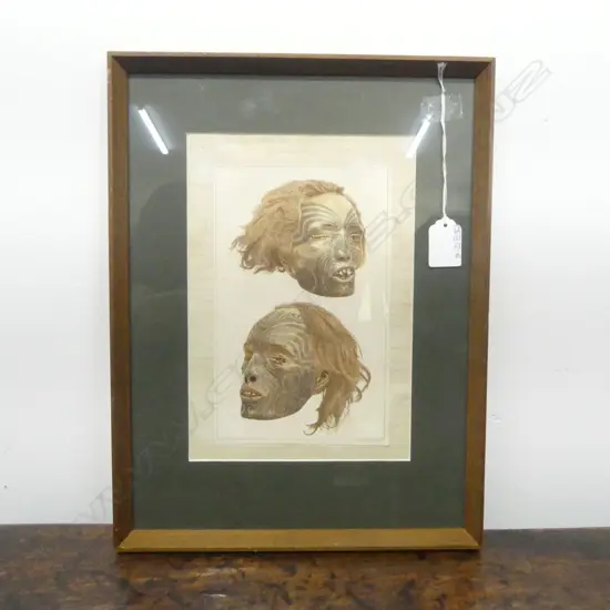 COLOURED CHROMOLITHOGRAPH 'NEW ZEALAND TATTOOED HEADS' 1883 by J.W. POWEL JULIUS BIEN, PLATE III, 210x135mm