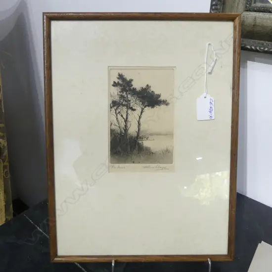 CONNIE LLOYD ETCHING & AQUATINT  'FIR TREES' signed & entitled in pencil 130 x 88mm