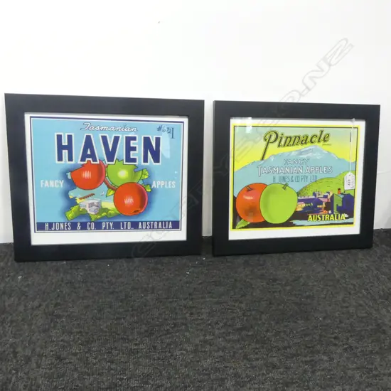 2 REPRODUCTION VINTAGE TASMANIAN APPLE PRINTS 215x280mm