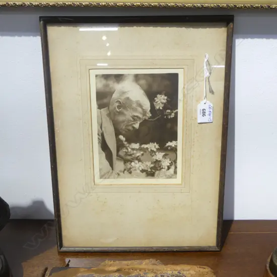 CONNIE LLOYD portrait of TREVOR LLOYD ? VINTAGE PHOTOGRAPH 175 X 130mm