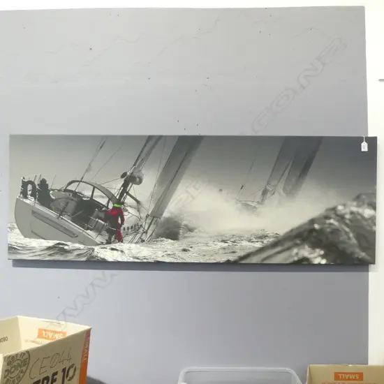 LARGE PHOTOGRAPHIC PRINT ON CANVAS SIGNED WILL .. , Ed. 35/100 500x1460mm