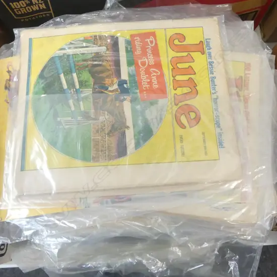 COLLECTION OF 'JUNE AND PIXIE' PERIODICALS with some others IN PROTECTIVE SLEEVES