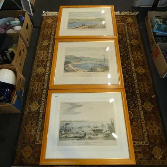 3 HEAPHY PRINTS; 2x WELLINGTON, 1x NELSON 435x540mm