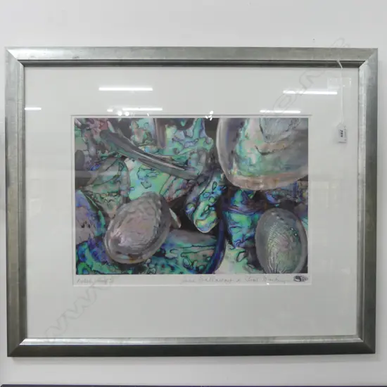 JANE GALLOWAY & STUART McKENZIE 'PAUA PIECES & SHELLS' AP PRINT 2002 300x430mm