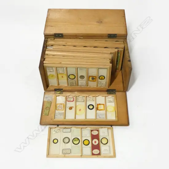 ANTIQUE BALTIC PINE BOXED MICROSCOPE SLIDE SET L255MM