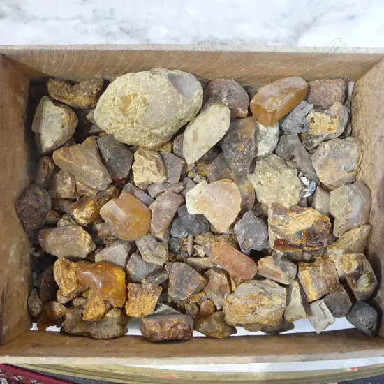 TRAY OF KAURI GUM NUGGETS